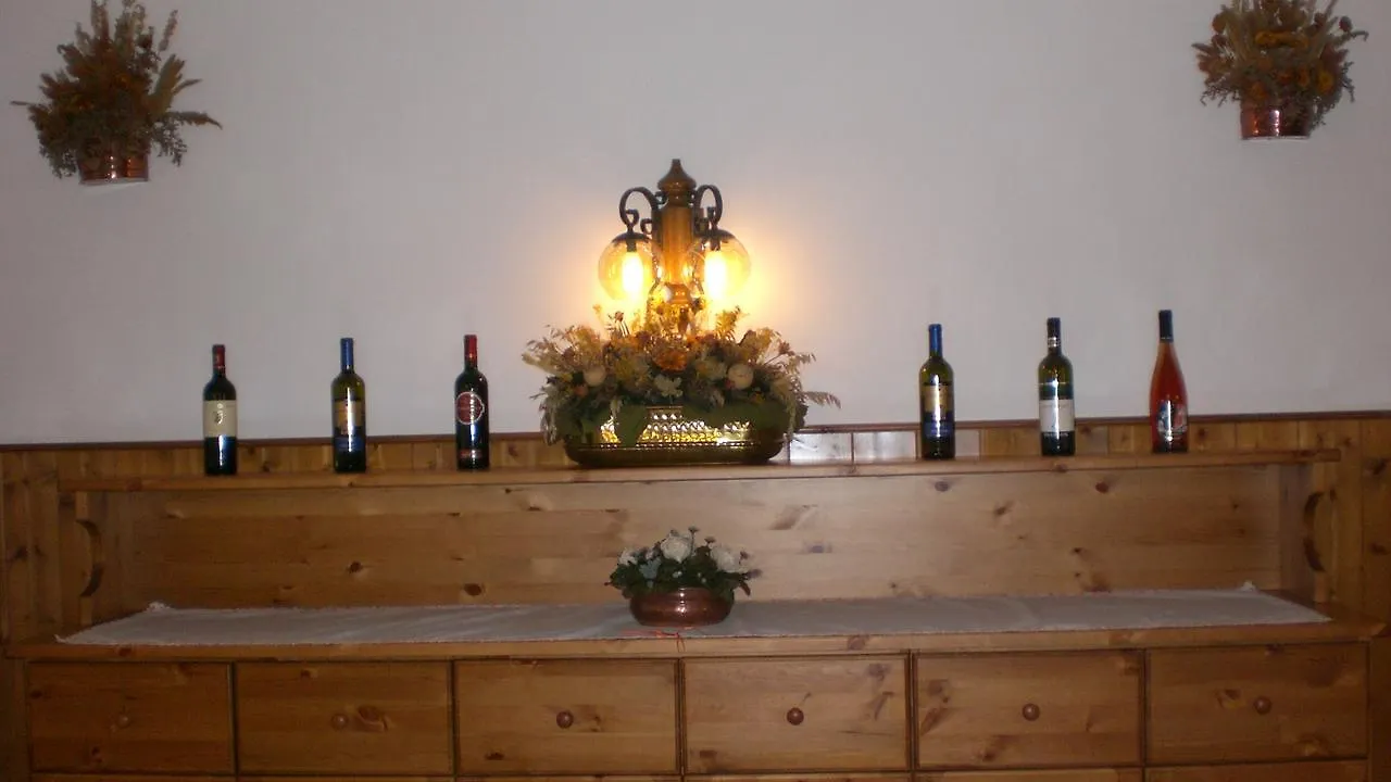 Hotel Villa Ines Borca di Cadore 3*,
