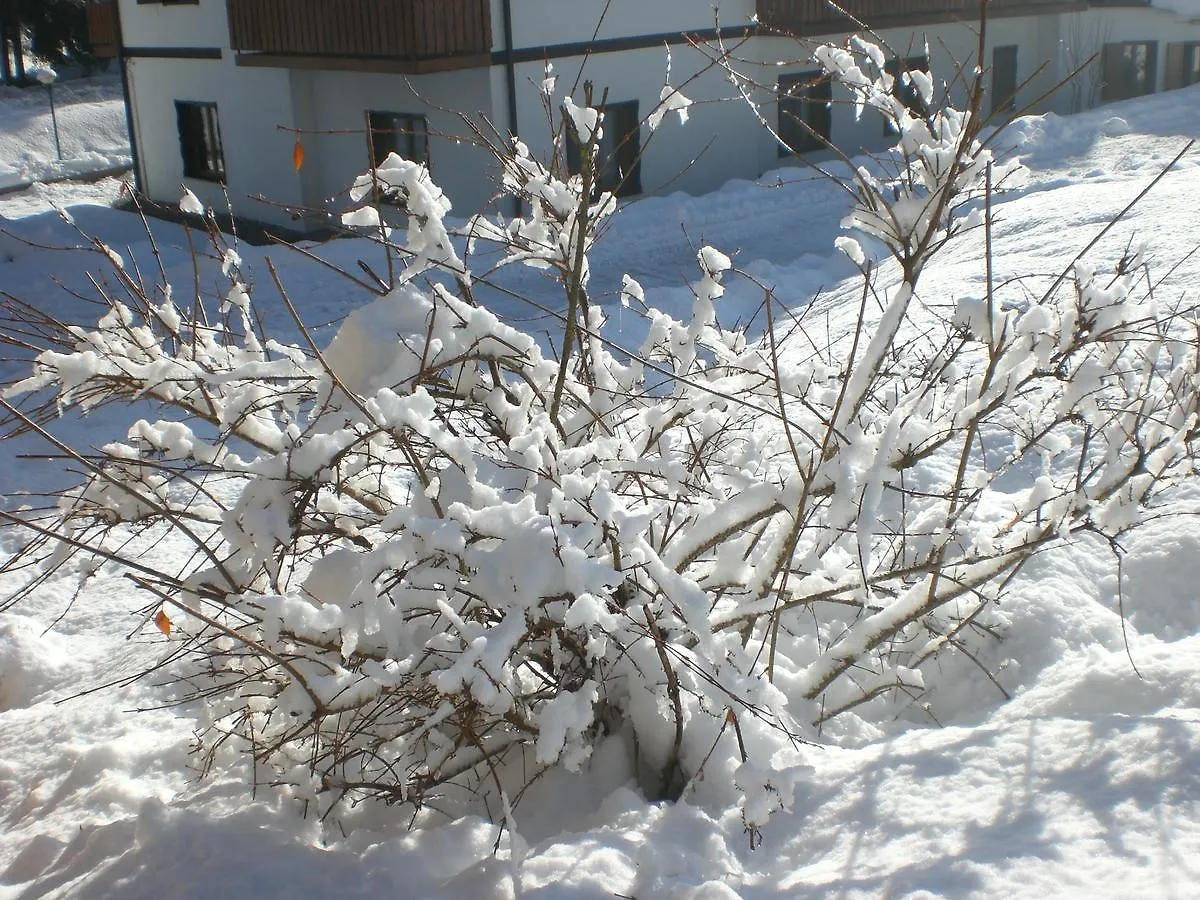 Hotel Villa Ines Borca di Cadore